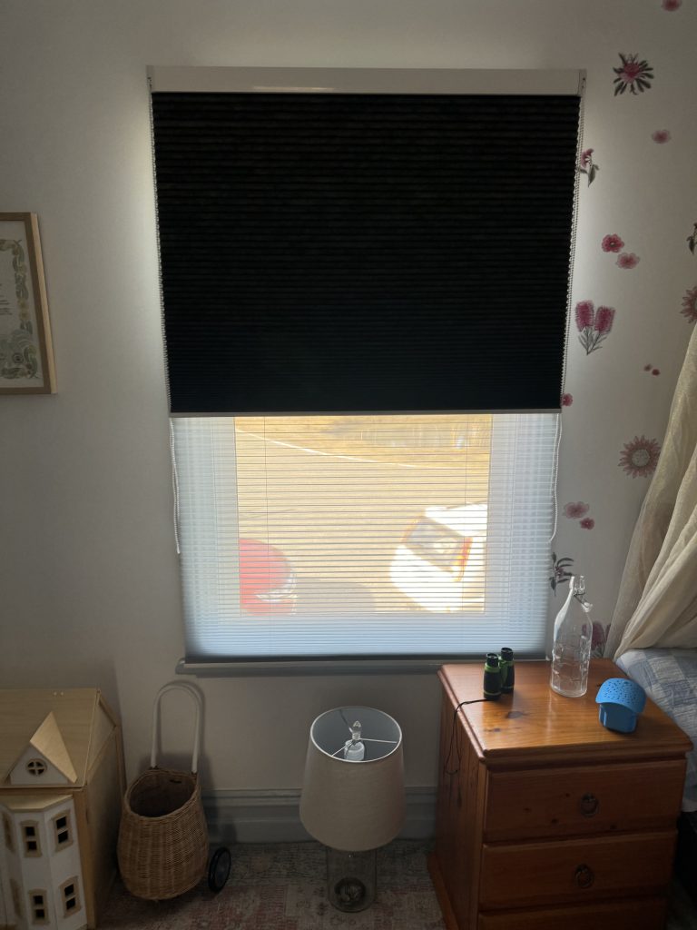 day-night honeycomb blinds